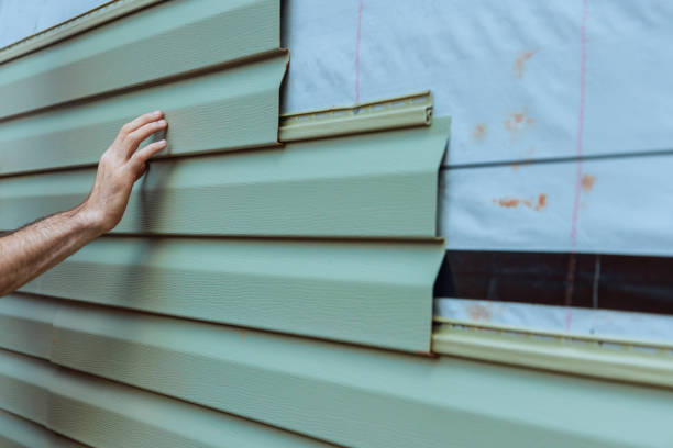 Best Custom Trim and Detailing for Siding  in Foreman, AR